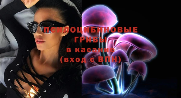 Альфа ПВП Арсеньев