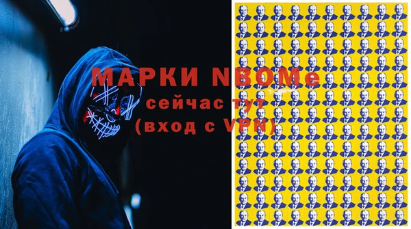 гашик Осинники
