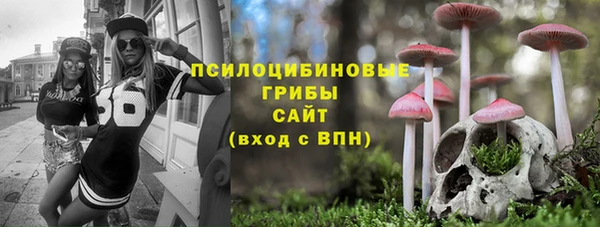 Альфа ПВП Арсеньев