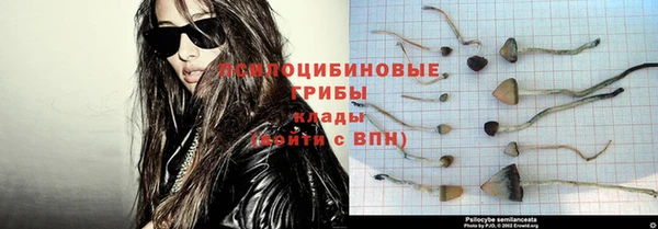 Альфа ПВП Арсеньев